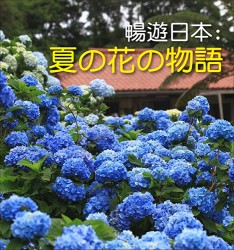 暢遊日本: 夏の花の物語